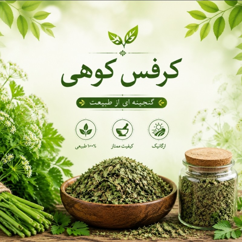 کرفس کوهی (کلوس)تازه، فوق العاده معطر ، دست چین شده از  دل طبیعت،صدگرم