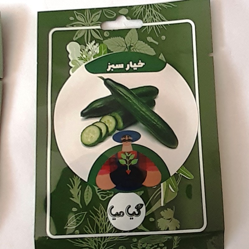 بذر خیار سبز