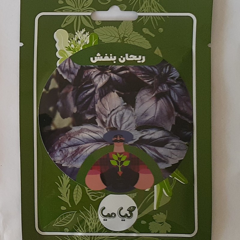بذر ریحان بنفش