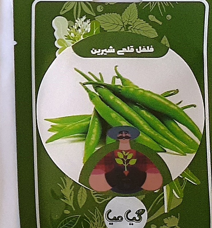 بذر فلفل قلمی شیرین
