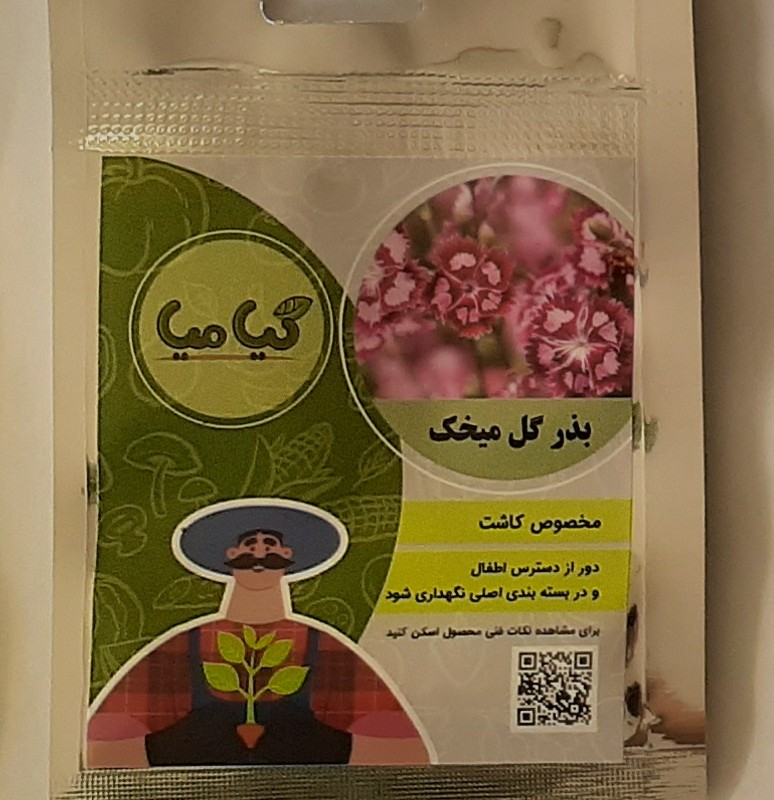 بذر گل میخک