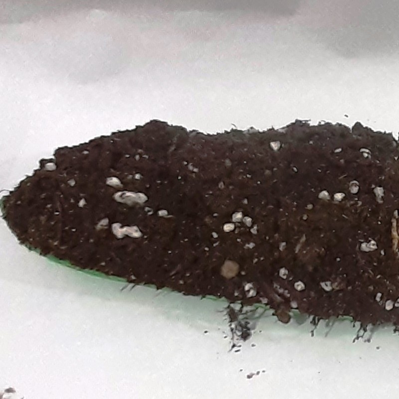 خاک سبزیجات  ده کیلویی