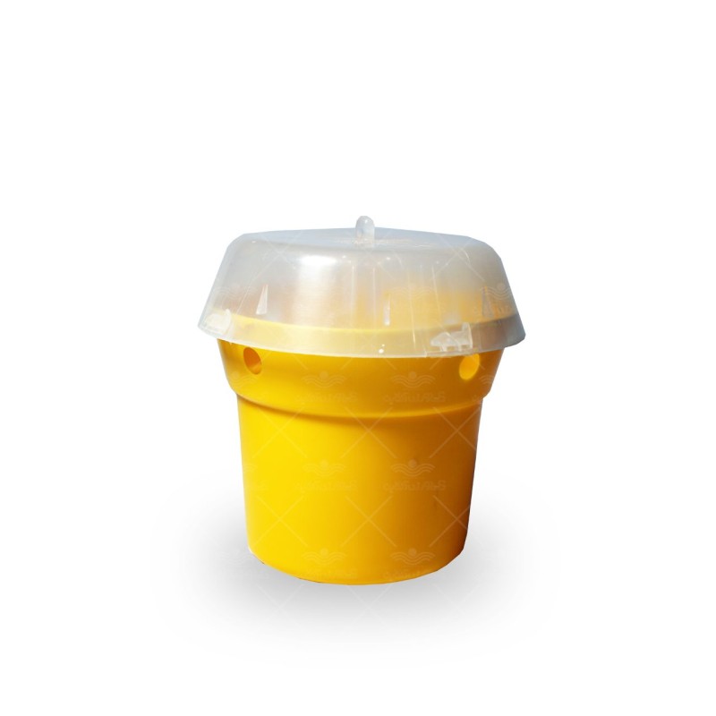 تله سراتراپ