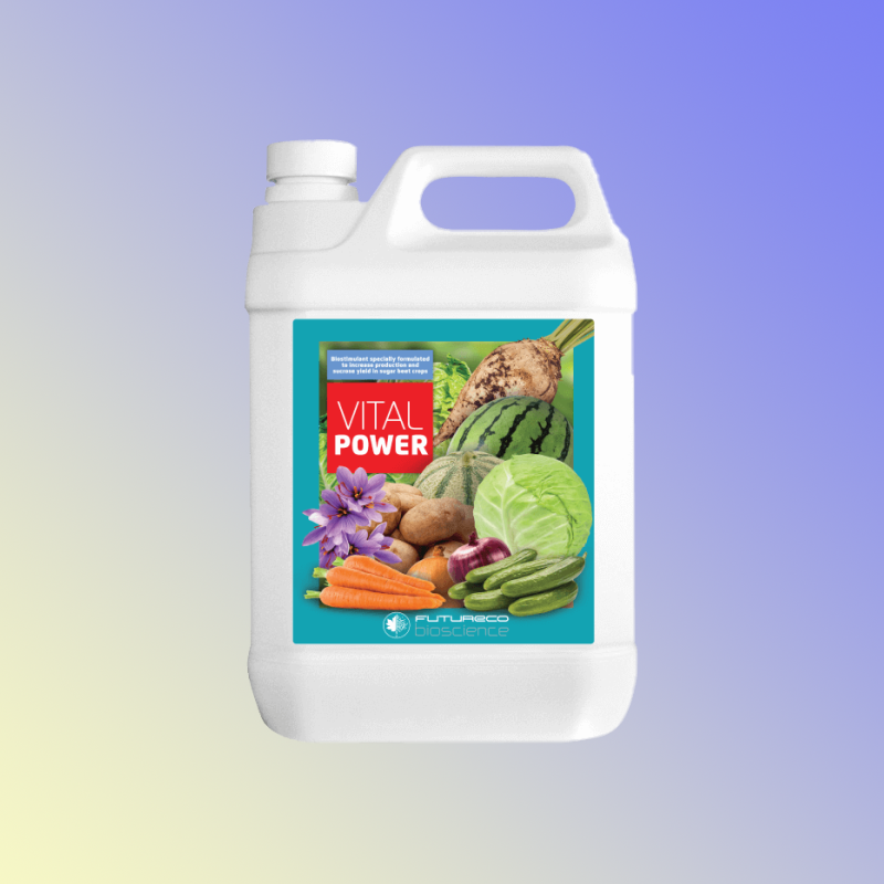 ویتا ل پاور حجم 5 لیتر