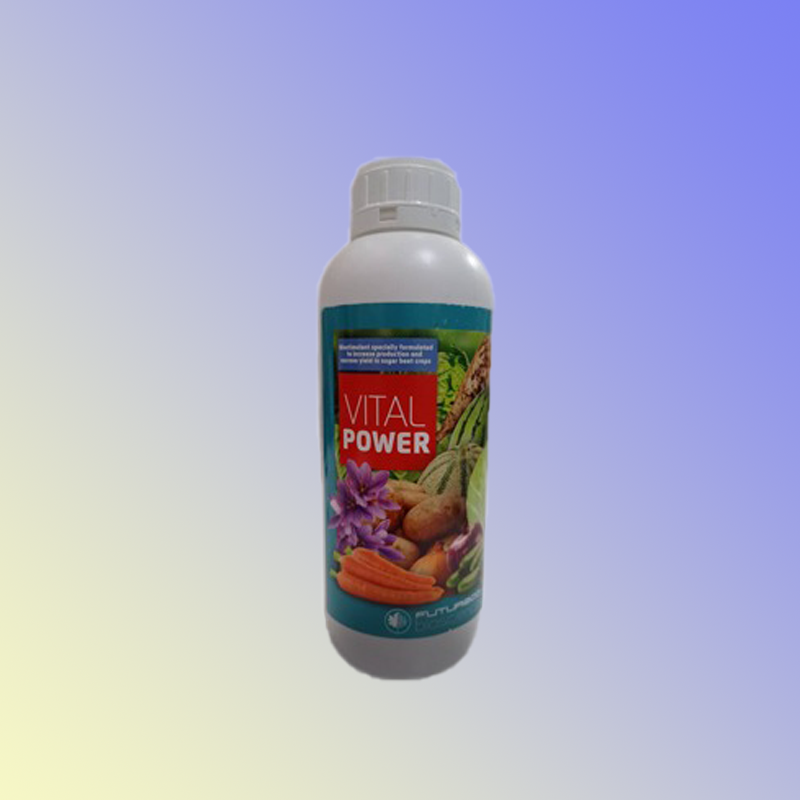 ویتا ل پاور حجم یک لیتر