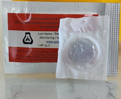 جلب کننده مگس مدیترانه بر پایه روغن طبیعی، بسته ۵ عددی