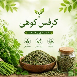 کرفس کوهی (کلوس)تازه، فوق العاده معطر ، دست چین شده از  دل طبیعت،صدگرم