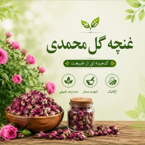 غنچه گل محمدی لاله زار کرمان