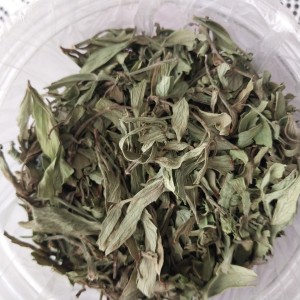 کرفس کوهی خشک(کلوس)تازه،  صدگرمی ، دست چین شده از  دل طبیعت
