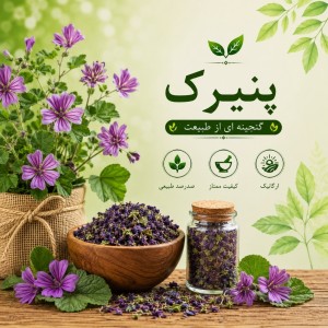 پنیرک خشک تازه و دست چین، صد در صد ارگانیک, صد گرم