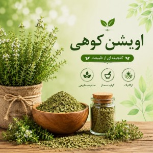 اویشن کوهی تازه، صد در صد ارگانیک، فوق العاده معطر،دست چین از دل طبیعت،50 گرم