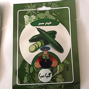 بذر خیار سبز