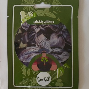 بذر ریحان بنفش