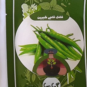 بذر فلفل قلمی شیرین