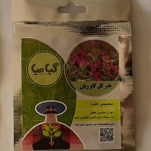 بذر گاوزبان