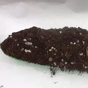 خاک سبزیجات  ده کیلویی