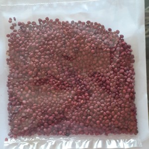 بذر ترپچه( ضدعفونی شده)، ۳۰ گرمی، شرکت کشتزار