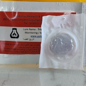 جلب کننده مگس مدیترانه بر پایه روغن طبیعی، بسته ۵ عددی