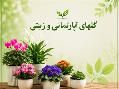 گلهای اپارتمانی