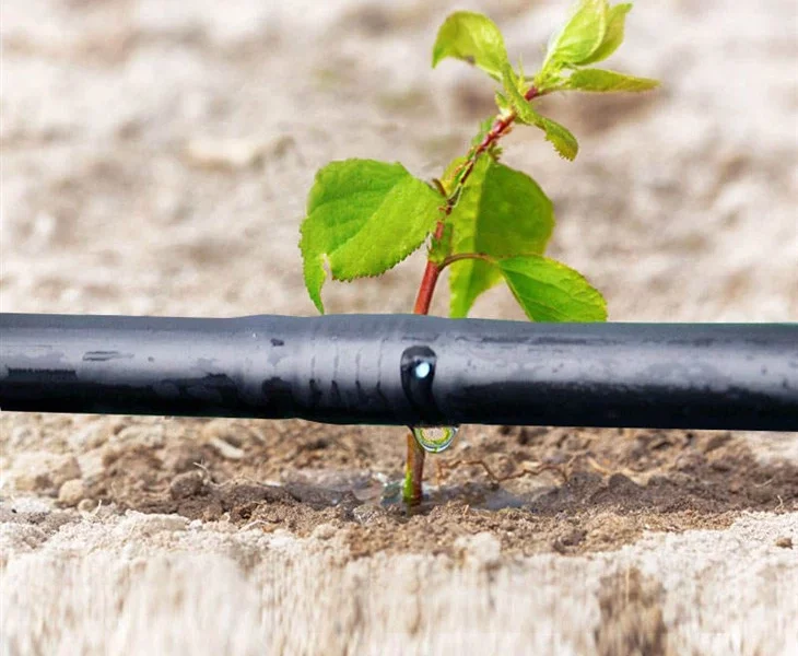 آبیاری قطره ای درختان