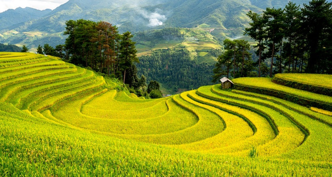 فروش لوله نخدار (نخ دار) در گرگان و گلستان