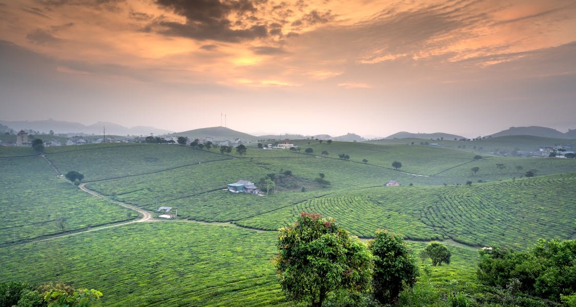 فروش لوله نخدار (نخ دار) در تهران