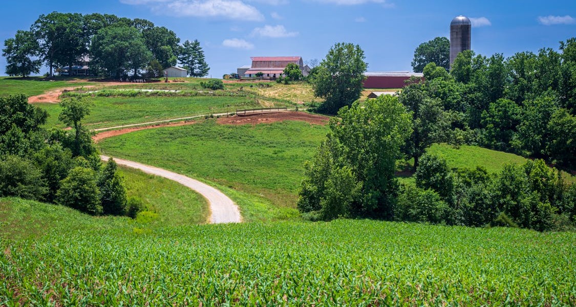فروش لوله نخدار (نخ دار) در اهواز و خوزستان