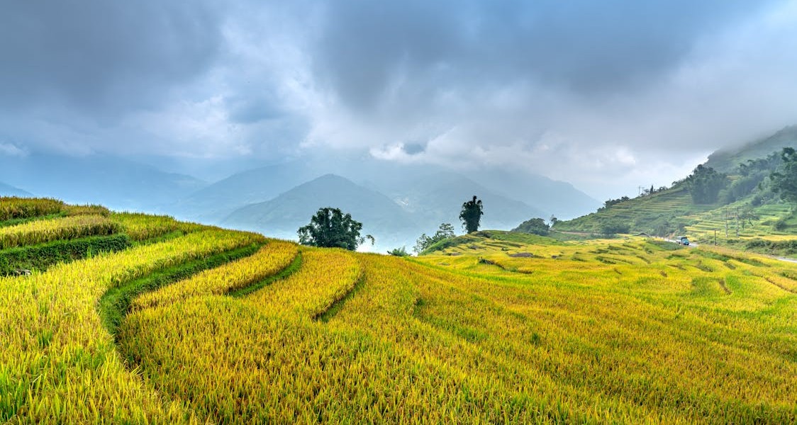 فروش لوله نخدار (نخ دار) در داراب