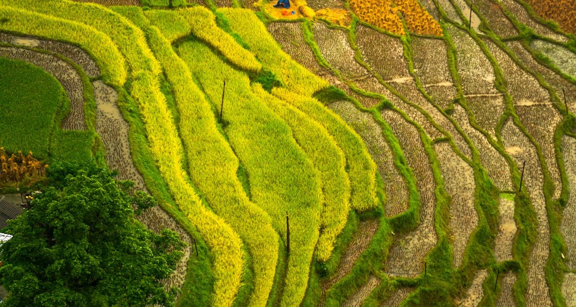 فروش وسایل و تجهیزات و لوازم آبیاری قطره ای در اصفهان