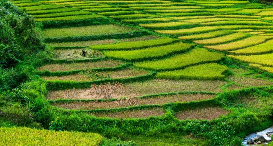 فروش وسایل و تجهیزات و لوازم آبیاری قطره ای در افغانستان