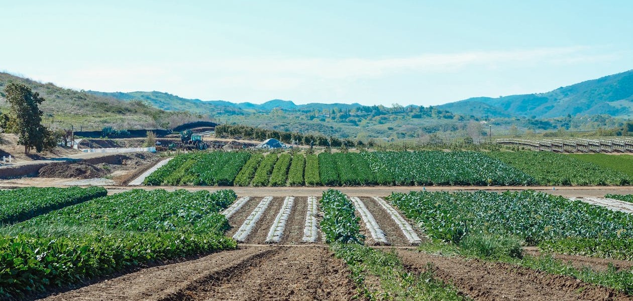 فروش وسایل و تجهیزات و لوازم آبیاری قطره ای در پاکستان