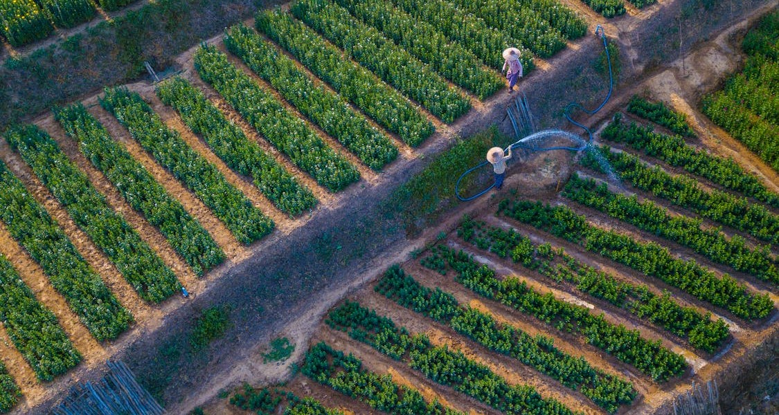 فروش وسایل و تجهیزات و لوازم آبیاری قطره ای در خرم آباد و لرستان