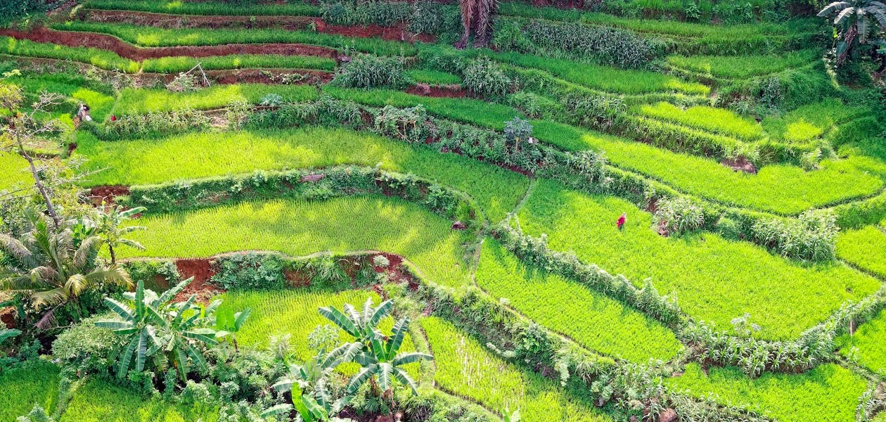 فروش نوار آبیاری در اصفهان