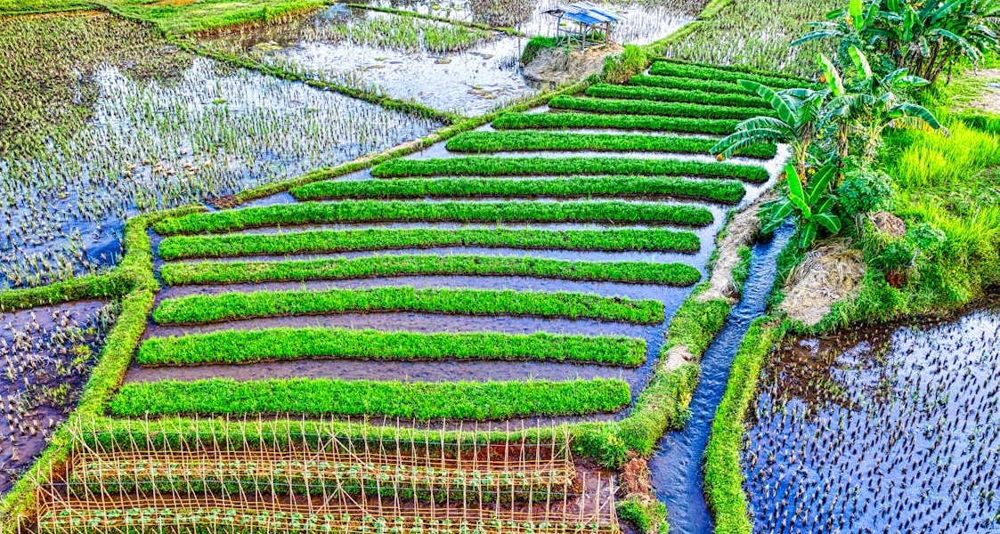 فروش نوار آبیاری در کرمان