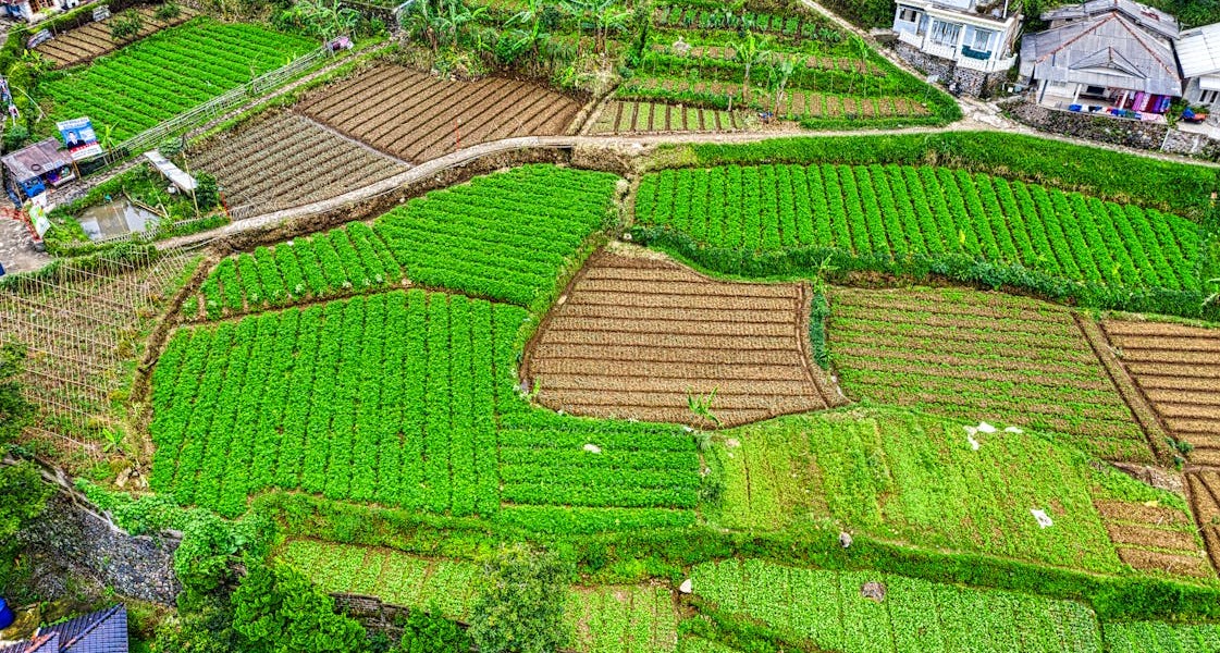 فروش نوار آبیاری در کهورستان