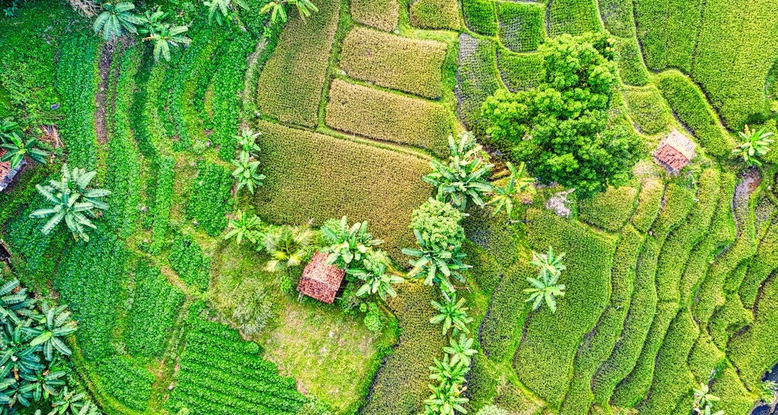 فروش نوار آبیاری در گچساران