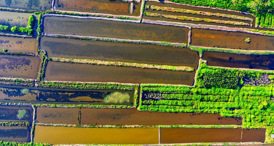 فروش نوار آبیاری در شاهرود