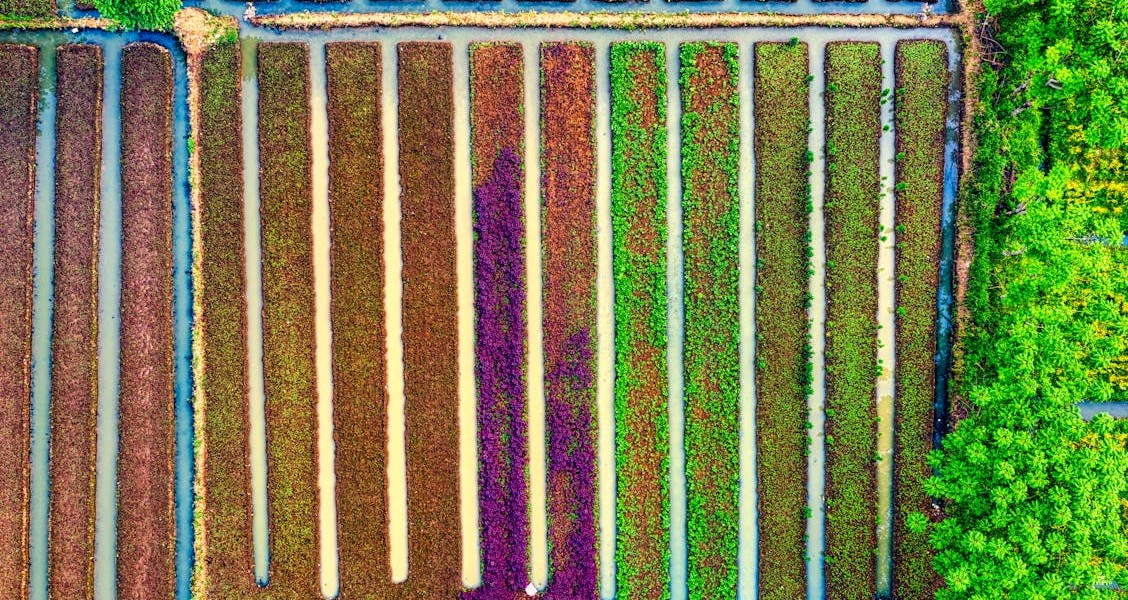 فروش نوار آبیاری در بهبهان