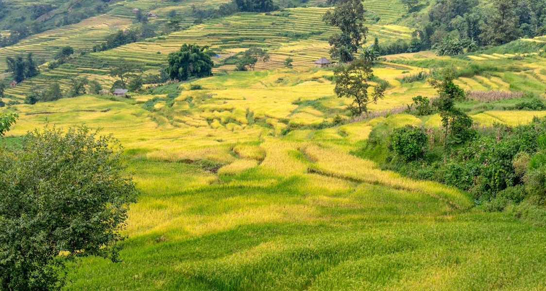 فروش نوار آبیاری در دهدشت