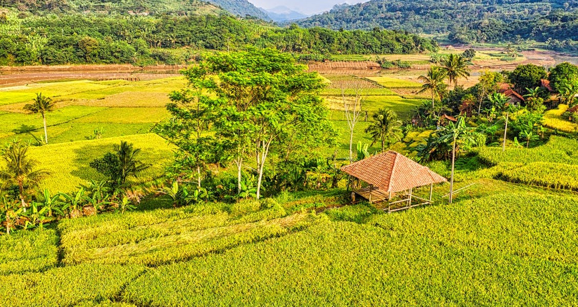 فروش نوار آبیاری در جیرفت