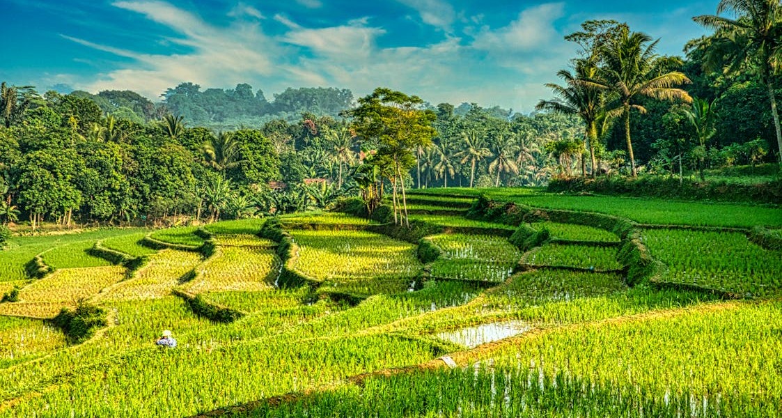 فروش نوار آبیاری در هشتبندی