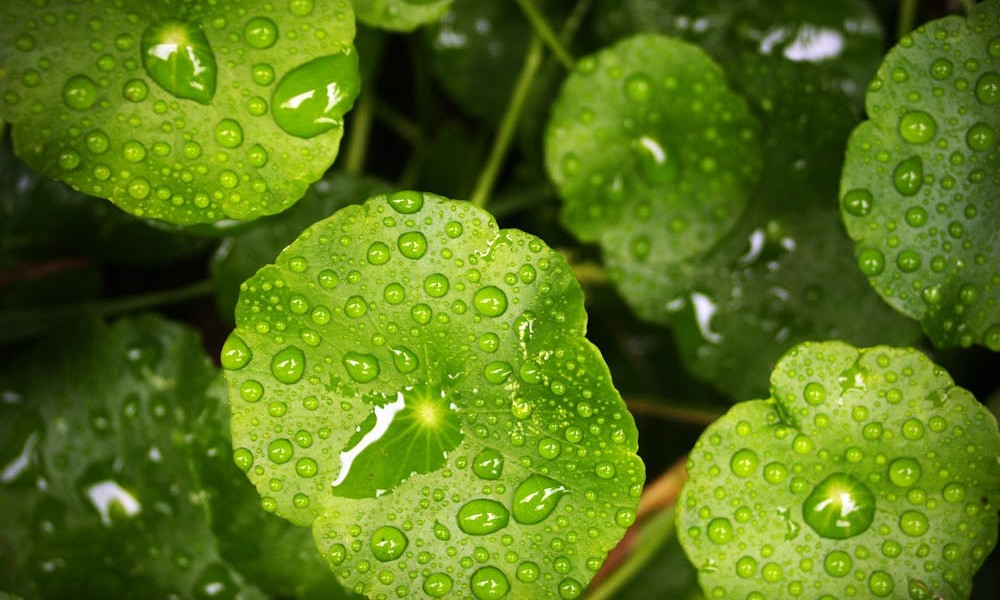 فروش لوله پلی اتیلن آبرسانی در زاهدان و سیستان