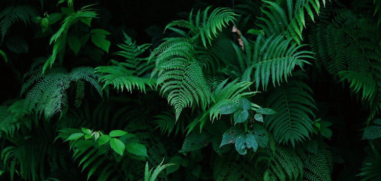 فروش لوله پلی اتیلن آبرسانی در جلگه