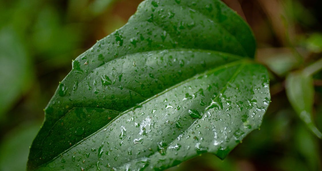 فروش لوله پلی اتیلن آبرسانی در بندرعباس و هرمزگان