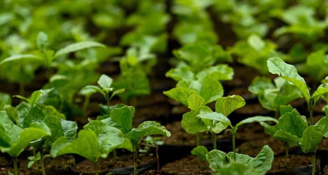 فروش لوله پلی اتیلن آبرسانی در سمنان