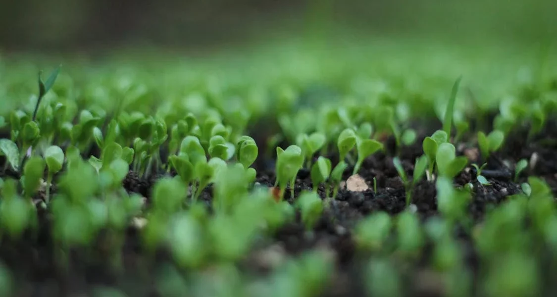 فروش لوله پلی اتیلن آبرسانی در شاهرود