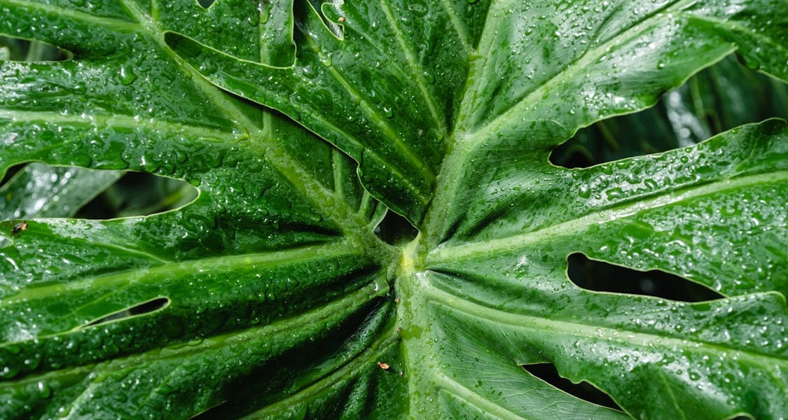 فروش لوله پلی اتیلن آبرسانی در گراش