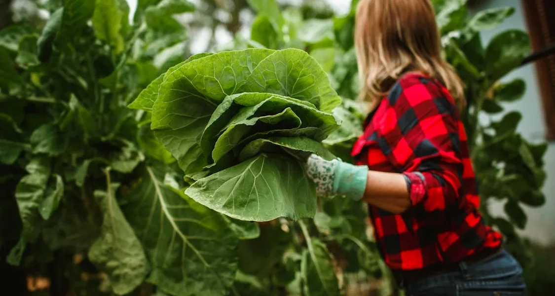 فروش لوله پلی اتیلن آبرسانی در قزوین