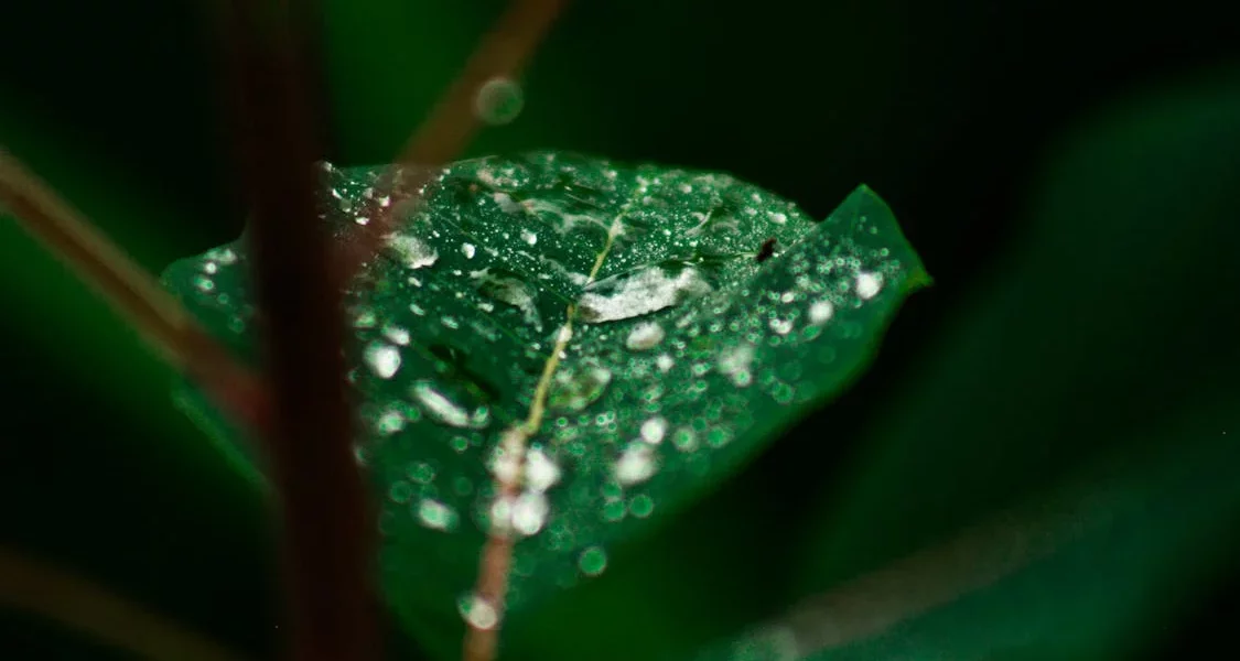 فروش لوله پلی اتیلن آبرسانی در بهبهان