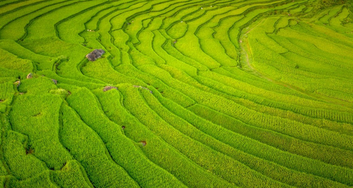 فروش لوله تاشو در زاهدان و سیستان